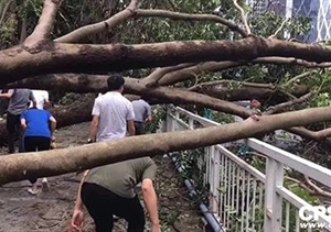 安防與臺風(fēng)應(yīng)急救援不得不說的兩三事……